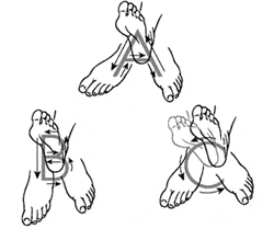  Ankle  Alphabet